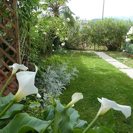 Nautilus Puegnago del Garda