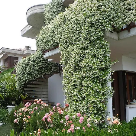Nautilus Bed & Breakfast 4*