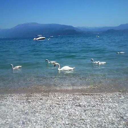 Nautilus Nocleg ze śniadaniem 3*